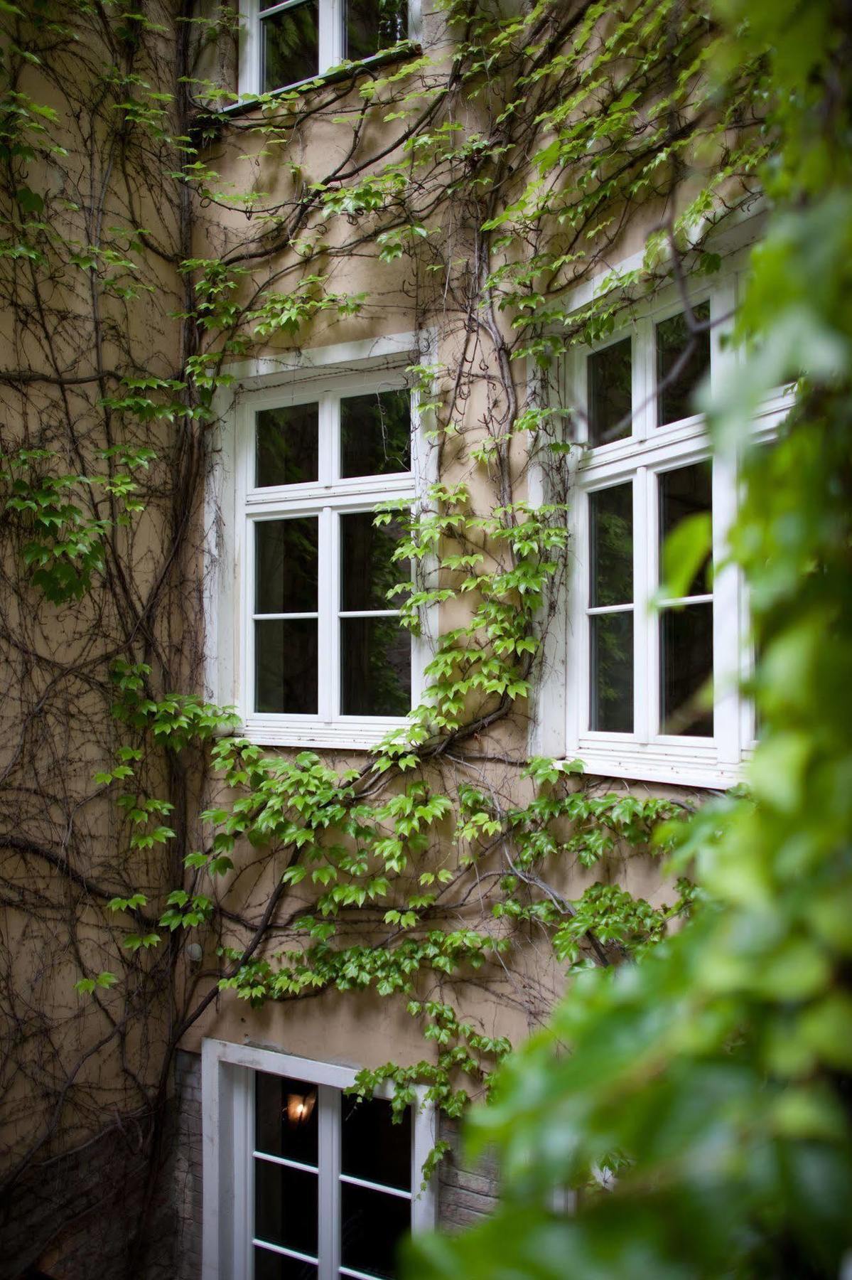 Schwalbe Hotel 4*